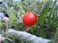 392e46bd-Fotografija0230 (2).jpg